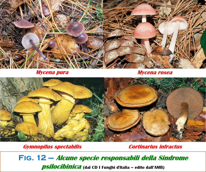 3592cf5b-7c03-43b2-8e66-ec91b16d8981 3592cf5b-7c03-43b2-8e66-ec91b16d8981