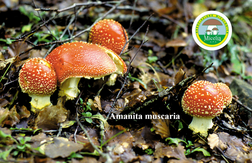 7826ee8b-e4db-4923-88c7-0bd0f869d15b 7826ee8b-e4db-4923-88c7-0bd0f869d15b