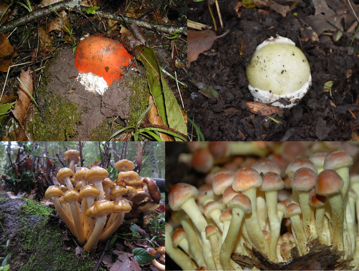 3934312b-89bc-422f-b791-19c39278606e 3934312b-89bc-422f-b791-19c39278606e