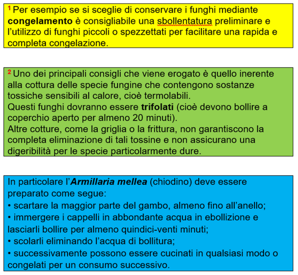 5c950d41-b40f-449b-843d-c46a2f46b3c3 5c950d41-b40f-449b-843d-c46a2f46b3c3