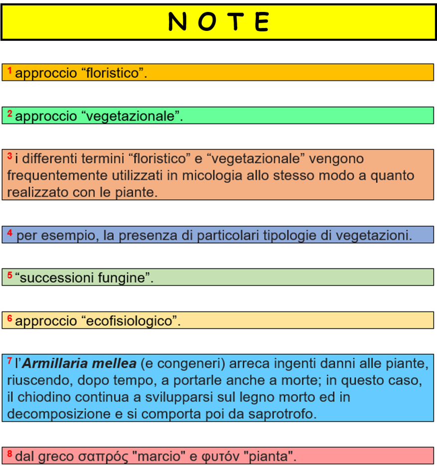 b0029cc3-af6c-4408-8c01-a33844f695a8 b0029cc3-af6c-4408-8c01-a33844f695a8