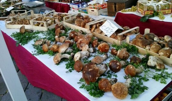 e3fbd494-8dde-464c-9877-d0c5f8500d46 e3fbd494-8dde-464c-9877-d0c5f8500d46