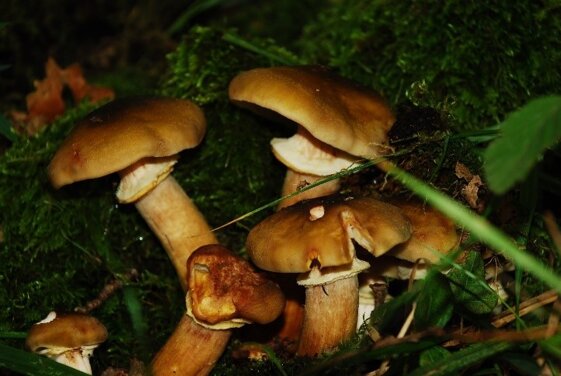 3e7bfc3b-af7e-495e-b070-9619fb4ead0f 3e7bfc3b-af7e-495e-b070-9619fb4ead0f