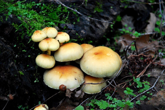 b90562a7-fe48-4049-9efd-5709e4a344eb b90562a7-fe48-4049-9efd-5709e4a344eb