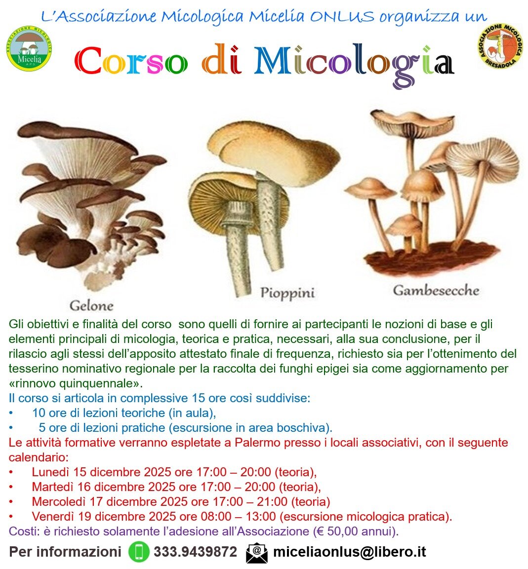 8a7efb2a-d679-410c-9388-534c1b250b0c 8a7efb2a-d679-410c-9388-534c1b250b0c