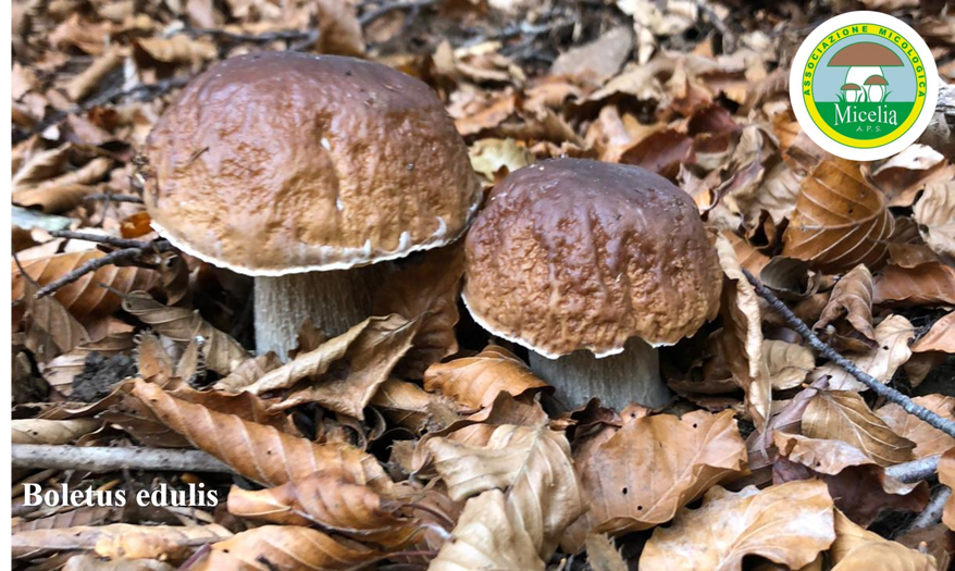 fe8c8b11-01f6-4116-97d0-524ff574fe43 fe8c8b11-01f6-4116-97d0-524ff574fe43