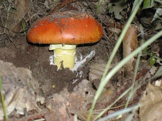 39b4c6da-cc90-4b8d-897c-d4138f70309f 39b4c6da-cc90-4b8d-897c-d4138f70309f