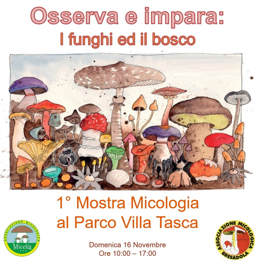 8e395ad9-530c-451f-b2d2-7ae09d43133d 8e395ad9-530c-451f-b2d2-7ae09d43133d