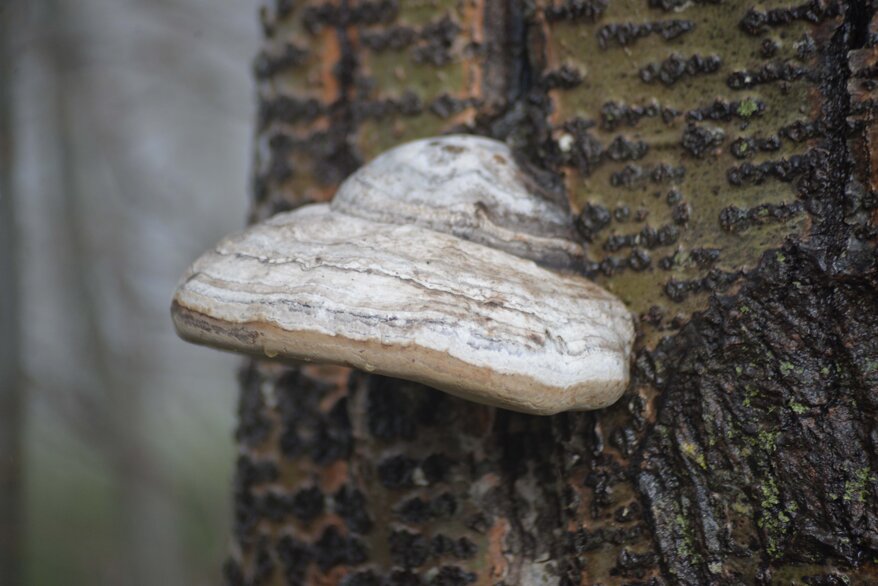 063cbd7d-5b6f-4036-9460-4ee0c65fd1e3.jpeg 063cbd7d-5b6f-4036-9460-4ee0c65fd1e3.jpeg