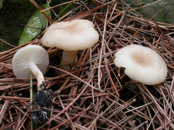 20621da1-6b7f-4299-bbc7-5c4fff31f0fd 20621da1-6b7f-4299-bbc7-5c4fff31f0fd