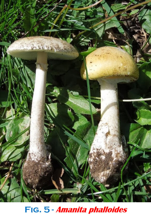 dedd90a7-2d21-48f9-8352-d4c6e978010b dedd90a7-2d21-48f9-8352-d4c6e978010b