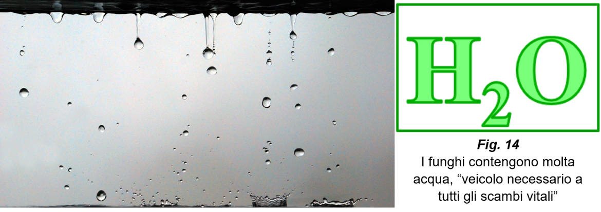 475716cd-3158-4d2d-b2d7-c4de78244b6a 475716cd-3158-4d2d-b2d7-c4de78244b6a