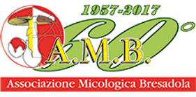 5ef35a7a-9f19-4946-af96-e5d9c5716e95 5ef35a7a-9f19-4946-af96-e5d9c5716e95