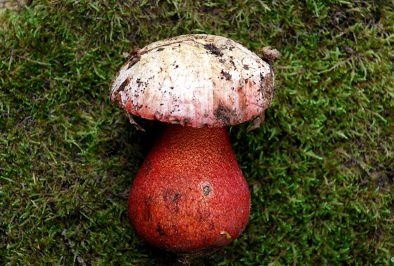 b5640bff-2244-4579-aca7-484751618aa9 b5640bff-2244-4579-aca7-484751618aa9