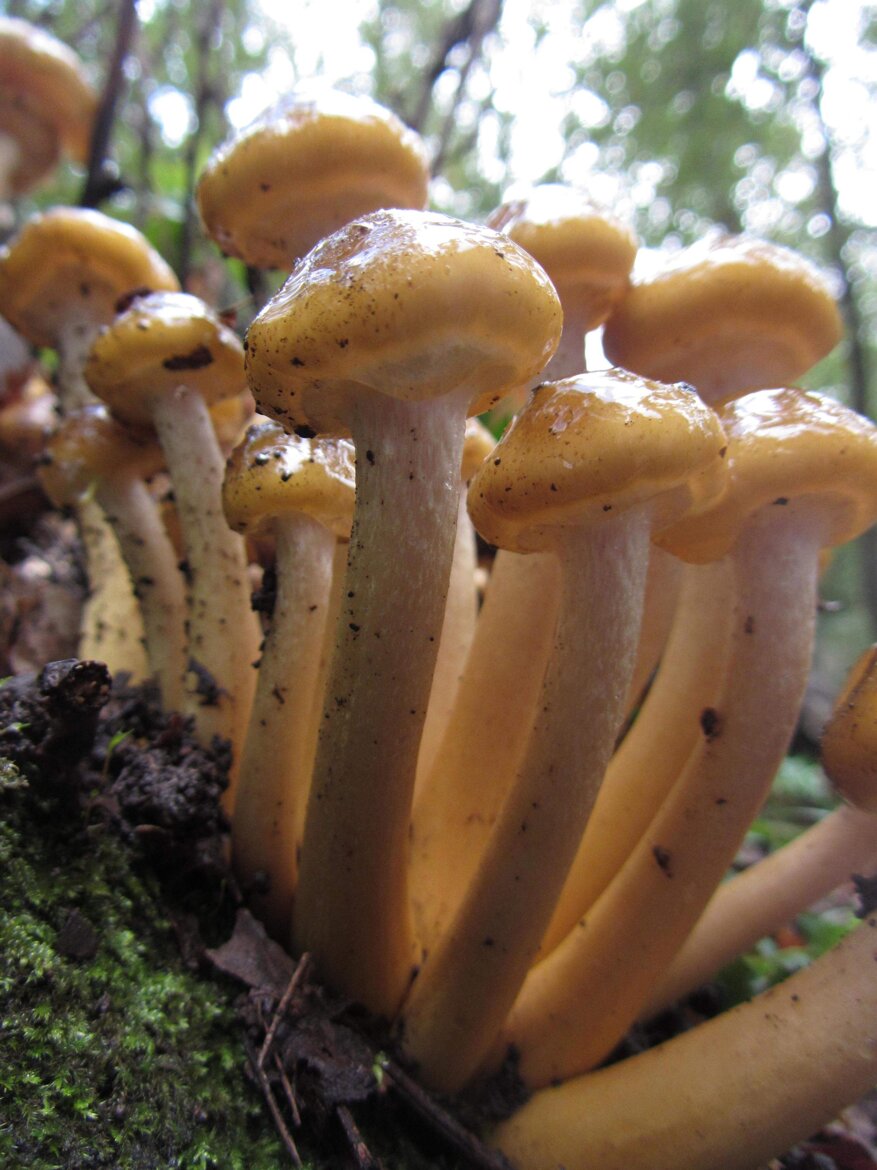 43b69e40-da2e-4738-936e-94d85b923ea8 43b69e40-da2e-4738-936e-94d85b923ea8