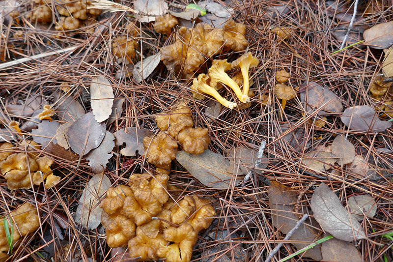 2f2925e6-c44d-4aa8-82dc-1ca6d69341f0 2f2925e6-c44d-4aa8-82dc-1ca6d69341f0