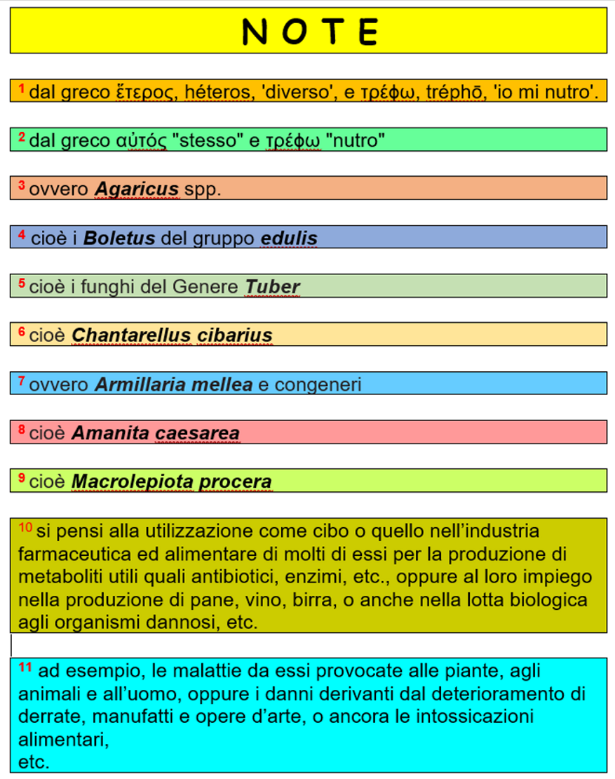 c1b69b4d-5716-42ca-a476-15f4060bfda8 c1b69b4d-5716-42ca-a476-15f4060bfda8