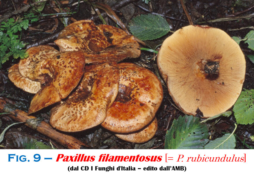 2d01c108-8c88-4076-a2d4-13449b1f04b3 2d01c108-8c88-4076-a2d4-13449b1f04b3