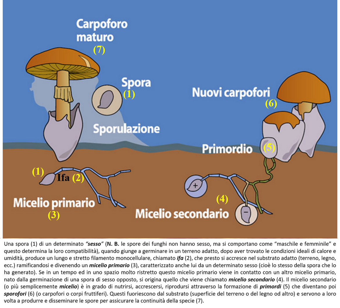 f9cd809b-4396-47f1-8368-844fa8dc0a59 f9cd809b-4396-47f1-8368-844fa8dc0a59