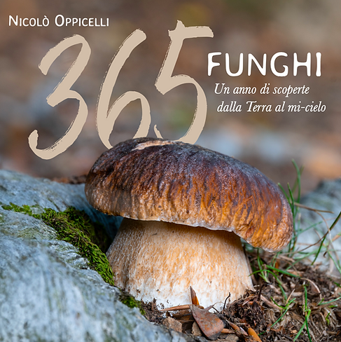 de2ae6b8-7273-4672-be1a-b576ad49d459 de2ae6b8-7273-4672-be1a-b576ad49d459