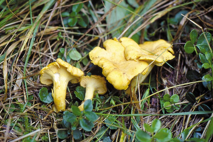 29d3323d-aba5-4fac-9357-7a35a3afb134 29d3323d-aba5-4fac-9357-7a35a3afb134