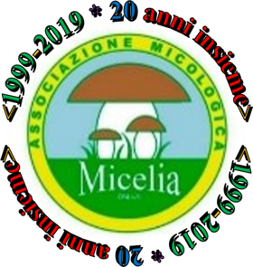 94114909-2463-44b3-88a2-85da685ee6d1 94114909-2463-44b3-88a2-85da685ee6d1