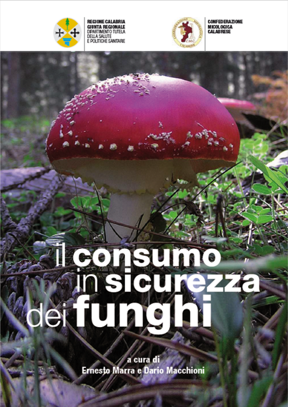 7f24101c-072e-441e-a70b-289f98d53c72 7f24101c-072e-441e-a70b-289f98d53c72