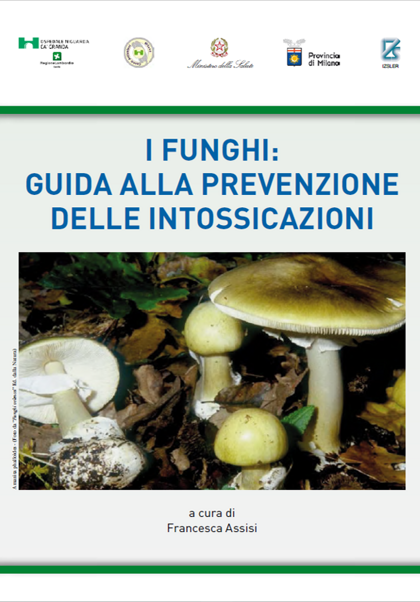 ad942fd0-d0b1-41f9-814b-aad491d44e5a ad942fd0-d0b1-41f9-814b-aad491d44e5a