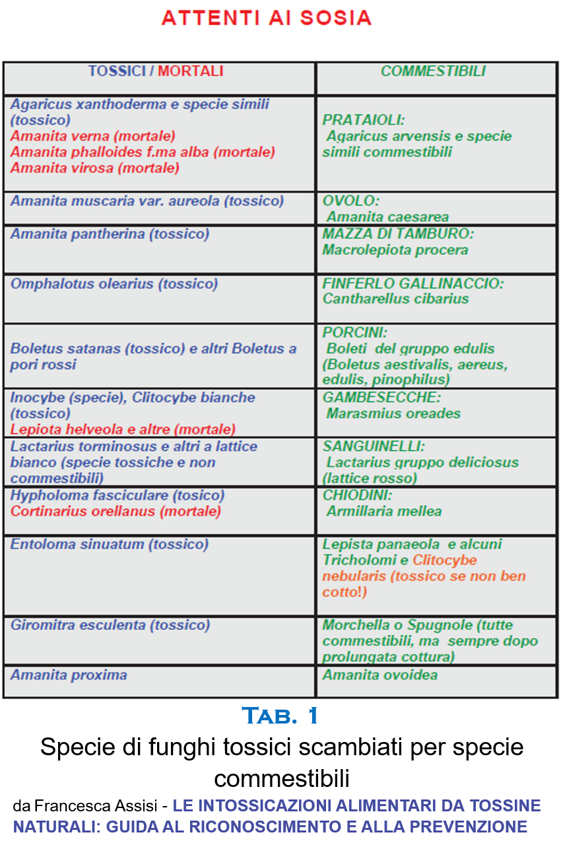 cc7f0d49-b5f6-4e3e-897c-fea3490bd4df cc7f0d49-b5f6-4e3e-897c-fea3490bd4df