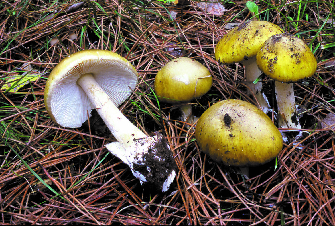 8a8d9a1b-c8f1-440b-baeb-4b1fa0977c74 8a8d9a1b-c8f1-440b-baeb-4b1fa0977c74