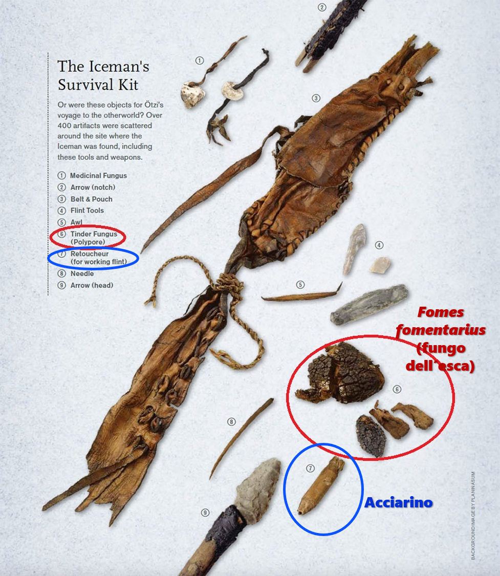 23706526-4950-47b9-b1f2-54c5dd446a5d