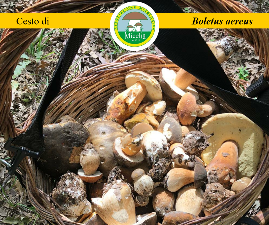 aaba2030-de1b-4aeb-b3bb-3b1dcb12baf2 aaba2030-de1b-4aeb-b3bb-3b1dcb12baf2