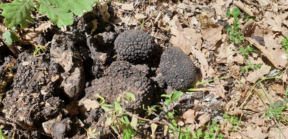 d5914d33-03a3-4bae-b273-26d692fd4105 d5914d33-03a3-4bae-b273-26d692fd4105