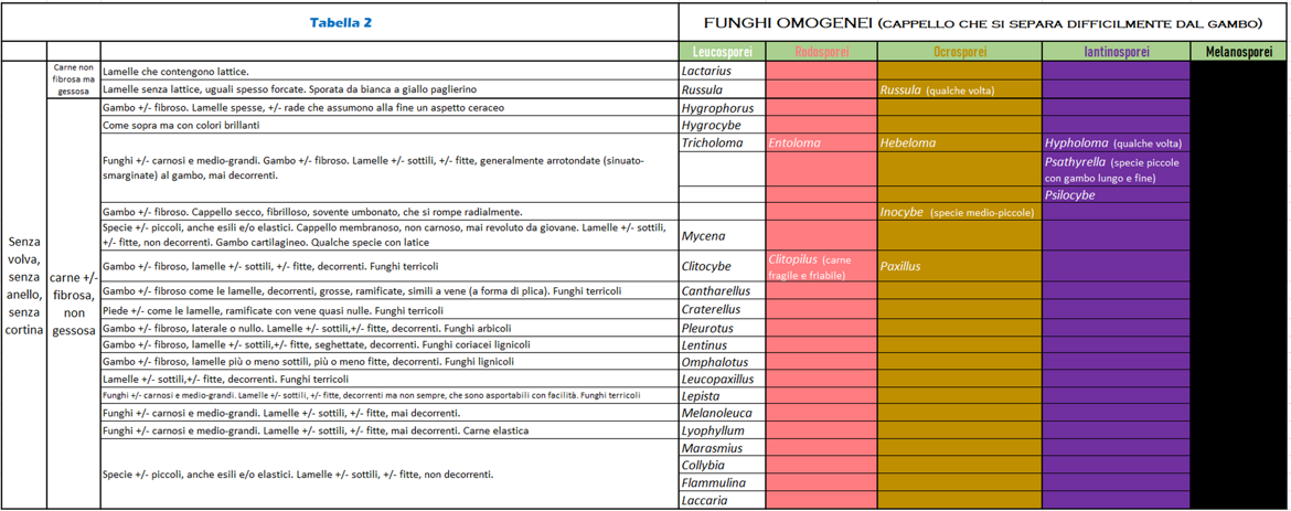 d702e32e-d00f-462b-88df-5f9574543d84 d702e32e-d00f-462b-88df-5f9574543d84