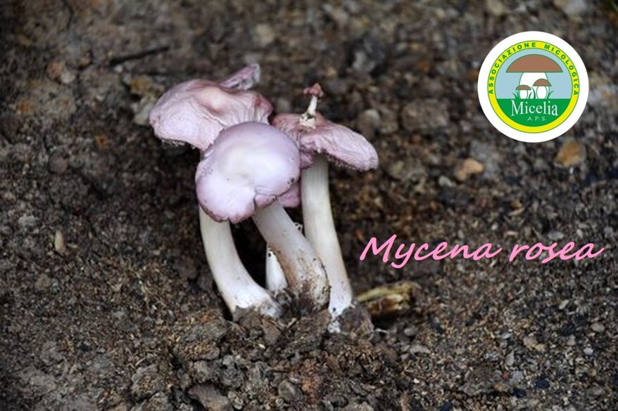 95bdb199-43db-441e-a61e-4edc2c70cdad 95bdb199-43db-441e-a61e-4edc2c70cdad