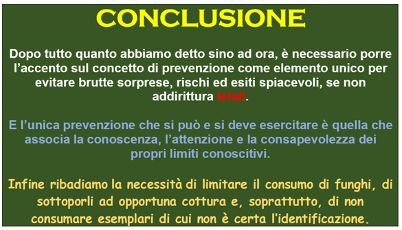 6fbef68a-f9c2-4776-af54-bc71ffefa2d8 6fbef68a-f9c2-4776-af54-bc71ffefa2d8