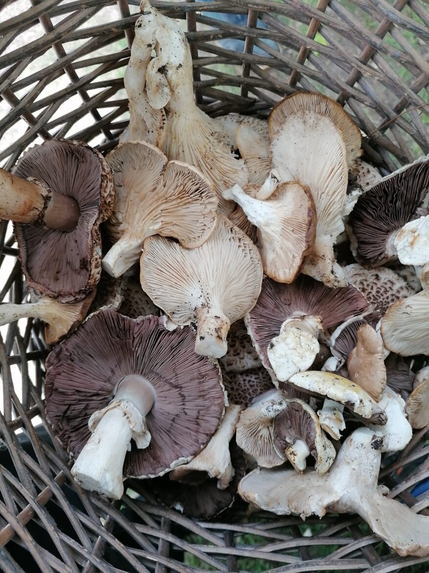 b897d6d4-d514-4ff7-a443-7e3a3448c790 b897d6d4-d514-4ff7-a443-7e3a3448c790