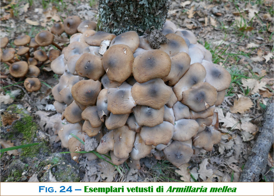 86269655-e5f4-467a-a12e-b12b14d0075d 86269655-e5f4-467a-a12e-b12b14d0075d