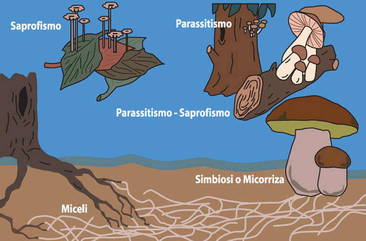 f8ff4053-6ab3-44bb-b5dc-12c45acf074f f8ff4053-6ab3-44bb-b5dc-12c45acf074f