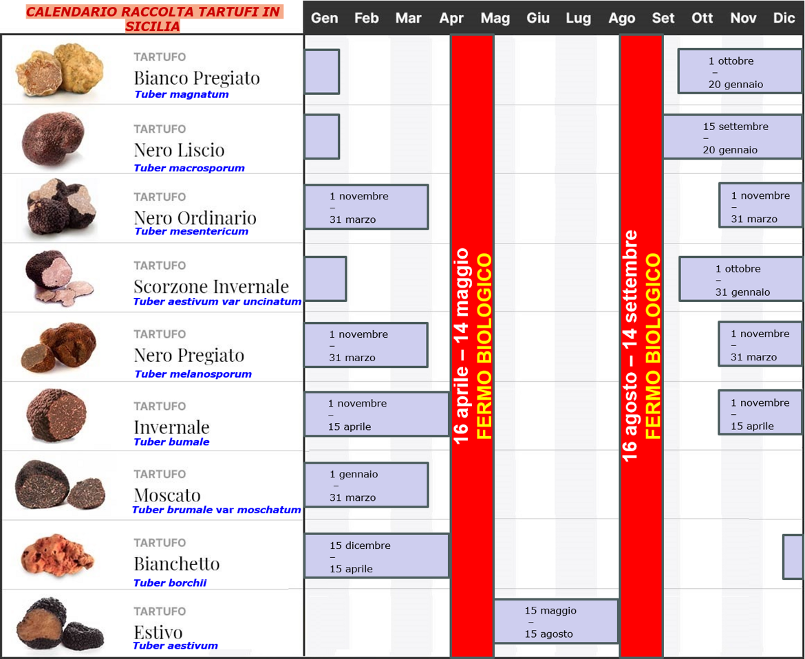 0f50d9b7-cceb-4161-9326-5167e8d26133 0f50d9b7-cceb-4161-9326-5167e8d26133