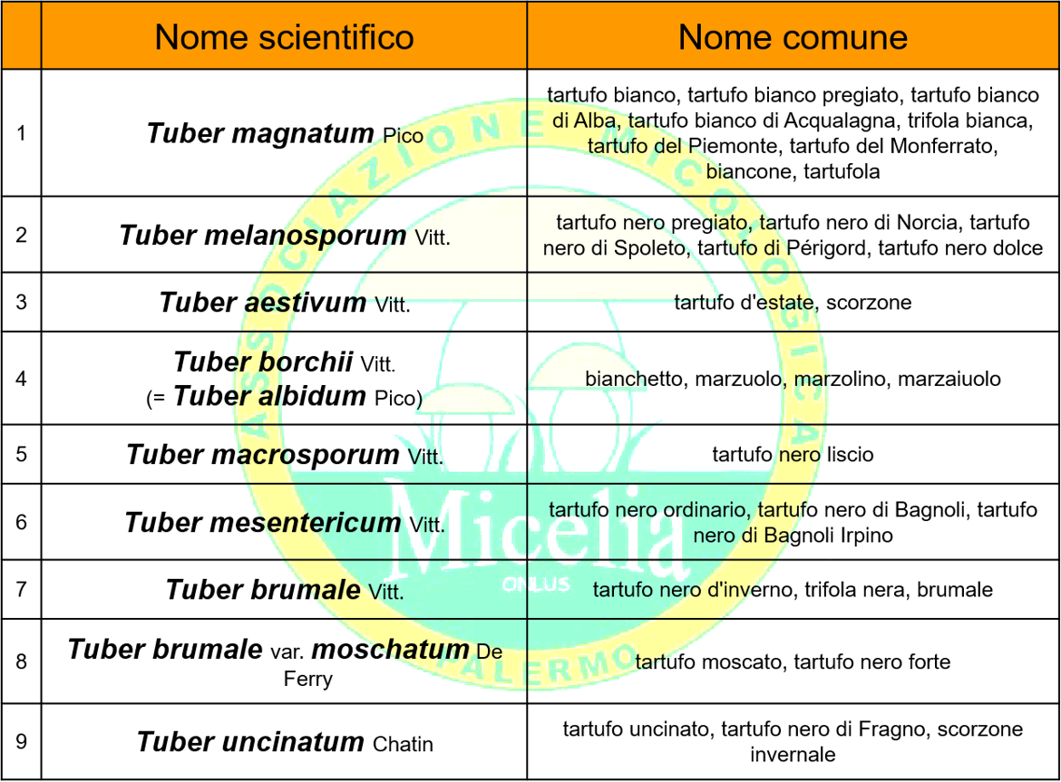 72e6d7a5-80d4-442f-ae09-f46978787122 72e6d7a5-80d4-442f-ae09-f46978787122