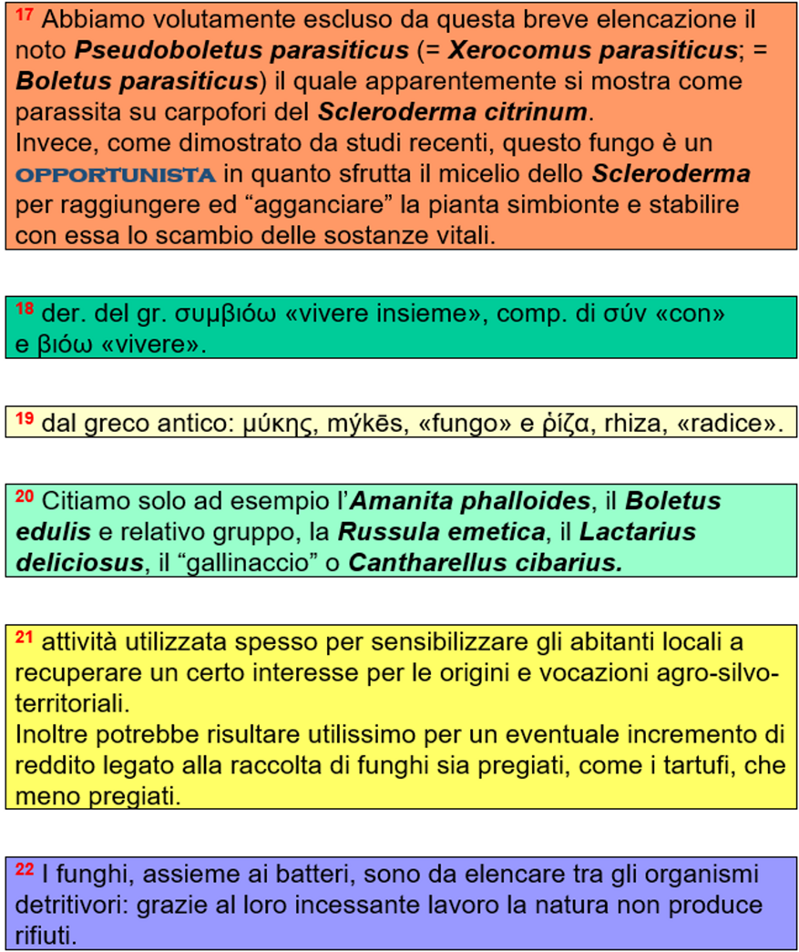 aa01c3c0-3b6b-483d-b8ab-22de8caca3e6 aa01c3c0-3b6b-483d-b8ab-22de8caca3e6