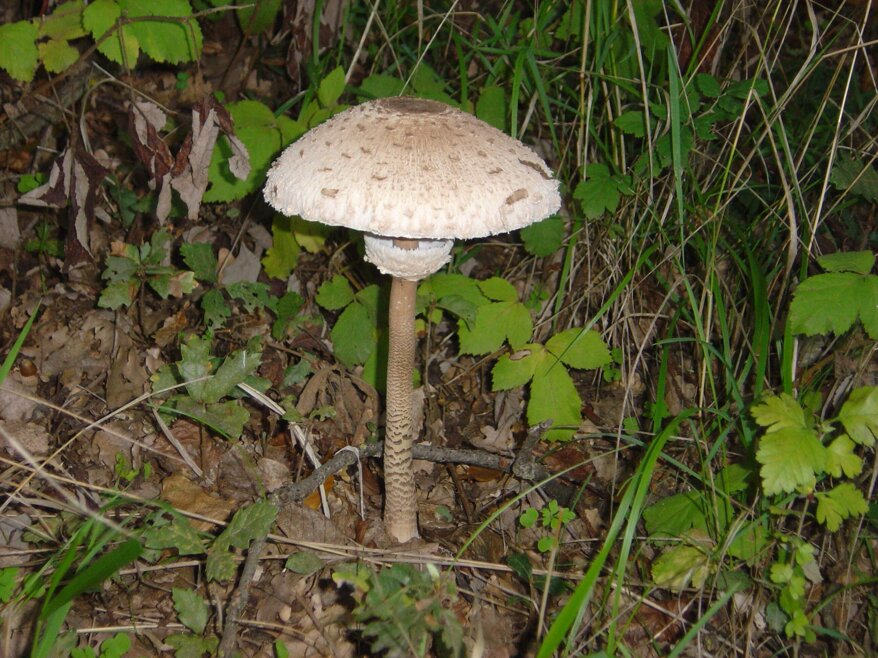 820ab212-54a9-40d2-a6c0-d3ebbc9506b4 820ab212-54a9-40d2-a6c0-d3ebbc9506b4