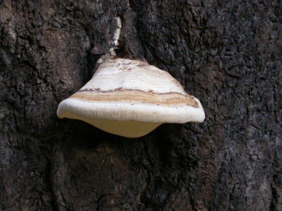 6966cf46-fd10-4a01-af1a-9fcbf1a4687a 6966cf46-fd10-4a01-af1a-9fcbf1a4687a