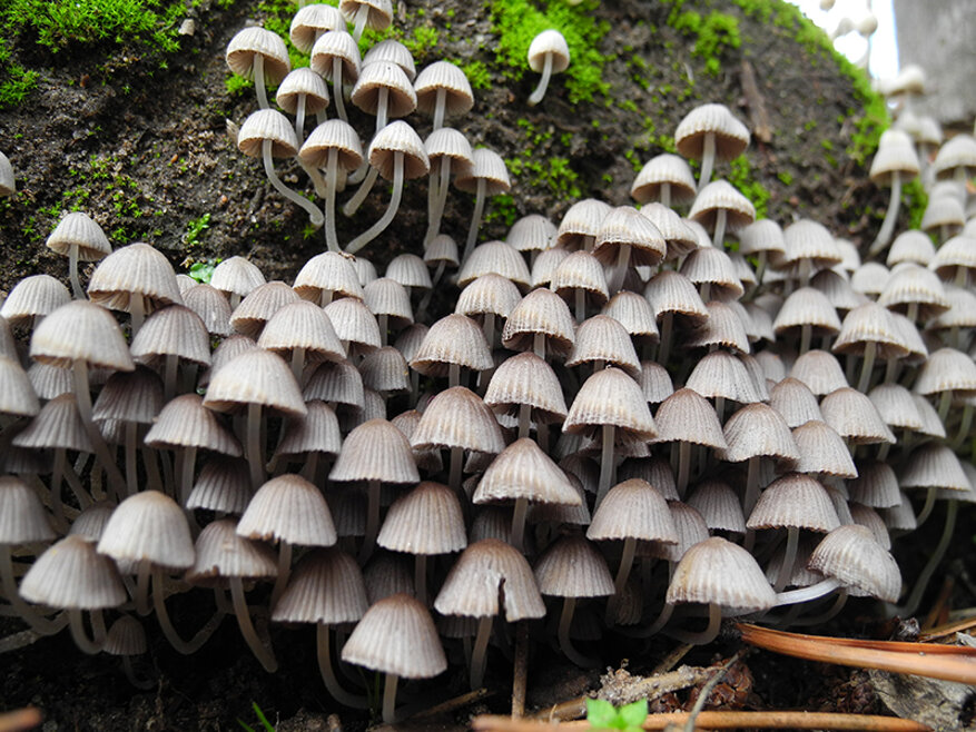 13a825a6-efda-45fa-af8c-0f8855c9c9ef 13a825a6-efda-45fa-af8c-0f8855c9c9ef