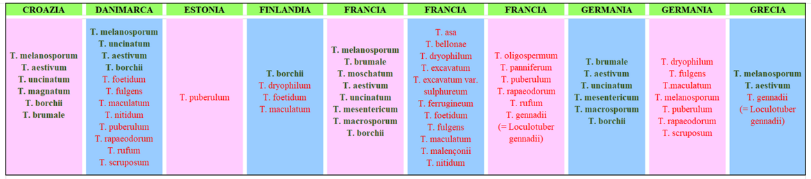 d82a774d-8465-4da4-954b-81de34a9296e d82a774d-8465-4da4-954b-81de34a9296e
