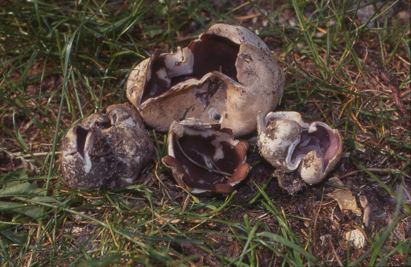 5b000aeb-d2e0-4290-9d32-4c7ccb2a2efc 5b000aeb-d2e0-4290-9d32-4c7ccb2a2efc