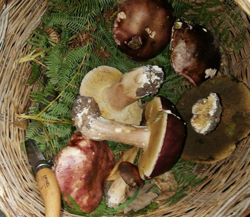 6569e0e5-12ee-46fb-a724-f1784a2f5f65.jpeg 6569e0e5-12ee-46fb-a724-f1784a2f5f65.jpeg