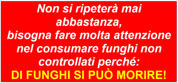 bfbccd98-ac03-4e84-8f82-6d3e4194a27d bfbccd98-ac03-4e84-8f82-6d3e4194a27d