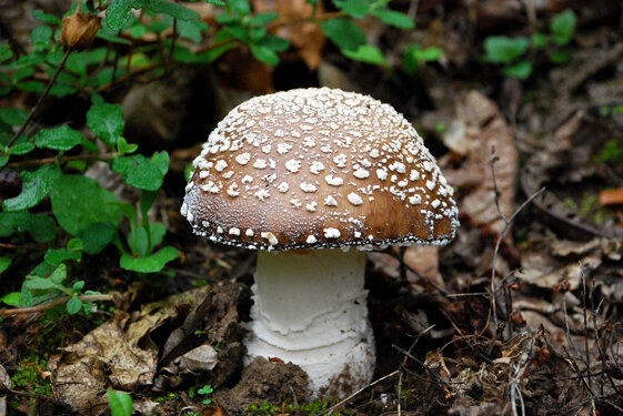 f522ce86-ec16-4c38-a04b-43540ad7b841 f522ce86-ec16-4c38-a04b-43540ad7b841